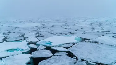 Arktik buz örtüsü alarm veriyor: Son 40 yılın en düşük seviyesinde
