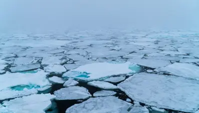 Arktik buz örtüsü alarm veriyor: Son 40 yılın en düşük seviyesinde