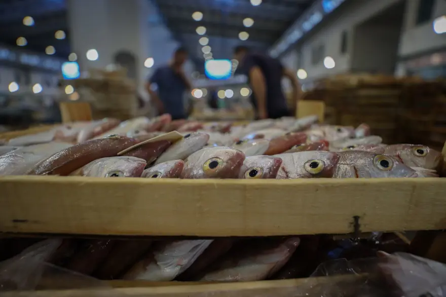 Balık sezonu başladı, fiyatlar yarı yarıya düştü (Güncel balık fiyatları: Palamut, hamsi, istavrit, çipura...) 2 Balık sezonu başladı, fiyatlar yarı yarıya düştü (Güncel balık fiyatları: Palamut, hamsi, istavrit, çipura...) 2