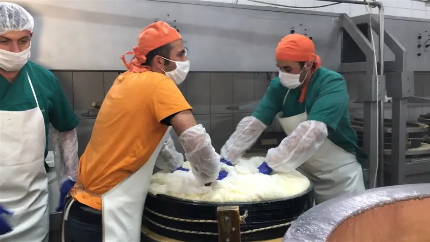 Kars'ta dünyaca ünlü gravyer peynirinin üretimine başlandı 17