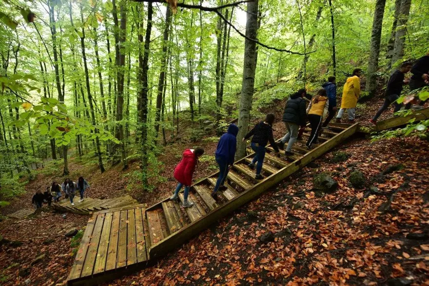 yedigöller milli parkı, sonbahar, Gölcük Tabiat Parkı, doğa, Bolu, bolu gezilecek yerler 4 yedigöller milli parkı, sonbahar, Gölcük Tabiat Parkı, doğa, Bolu, bolu gezilecek yerler 4