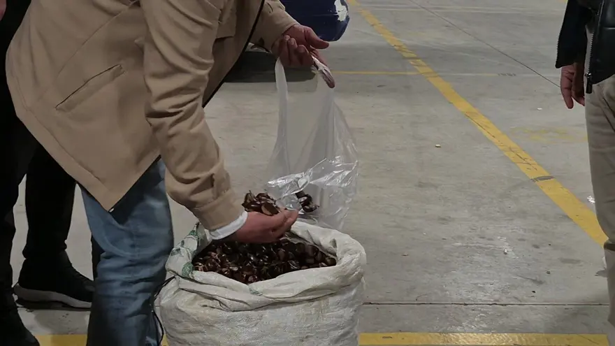 Toplaması çok zahmetli, kilosu 400 lirayı buluyor: Tescilli lezzet pazara indi 1 Toplaması çok zahmetli, kilosu 400 lirayı buluyor: Tescilli lezzet pazara indi 1