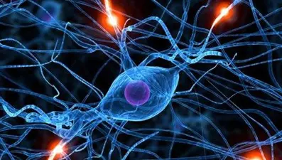 MS hastalığına kök hücre nakliyle “ezber bozan” tedavi