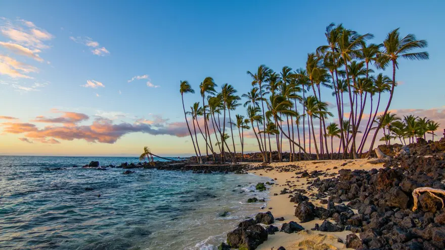 Turizm cenneti Hawaii corona virüs kısıtlamalarını kaldırıyor 4