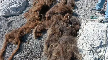 İzmit Körfezi'nden 11 bin metrekare hayalet ağ çıkarıldı