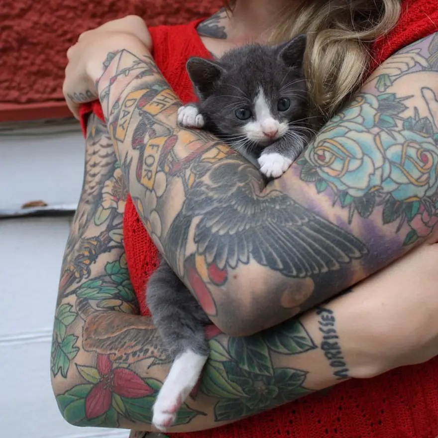 Hayatını kedileri kurtarmaya adadı 1