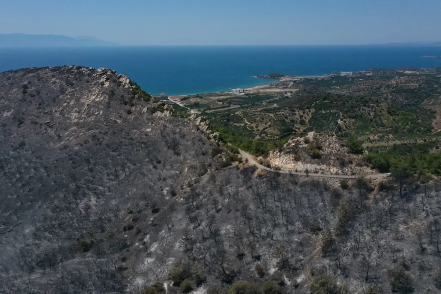 Menderes'teki orman yangınından geriye kalanlar 6