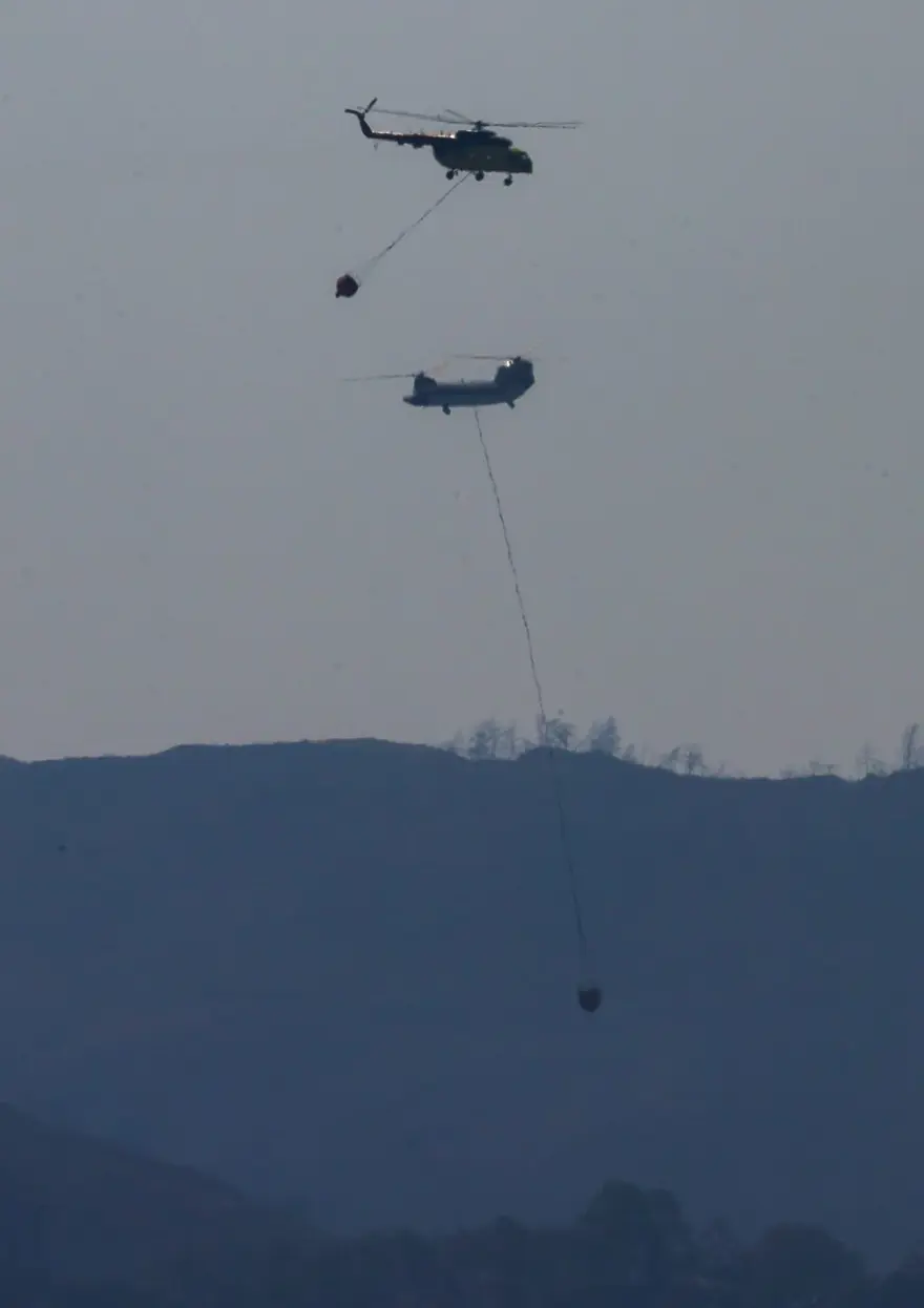 Cumhurbaşkanı Erdoğan: Marmaris'teki orman yangını büyük oranda kontrol altında 44