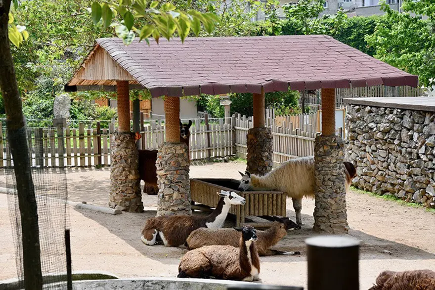 Darıca Hayvanat Bahçesi kapatıldı 1