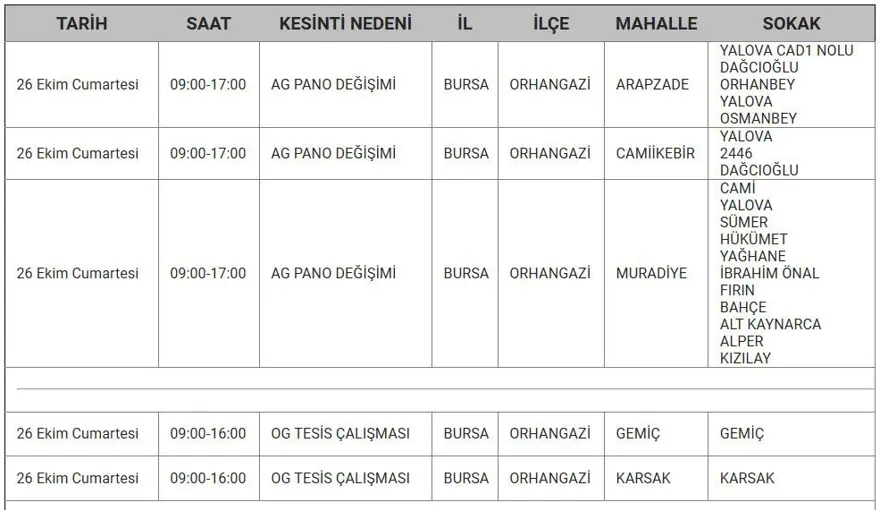 Bursa'nın 8 ilçesinde elektrik kesintisi: Bursa'da elektrikler ne zaman gelecek? 7