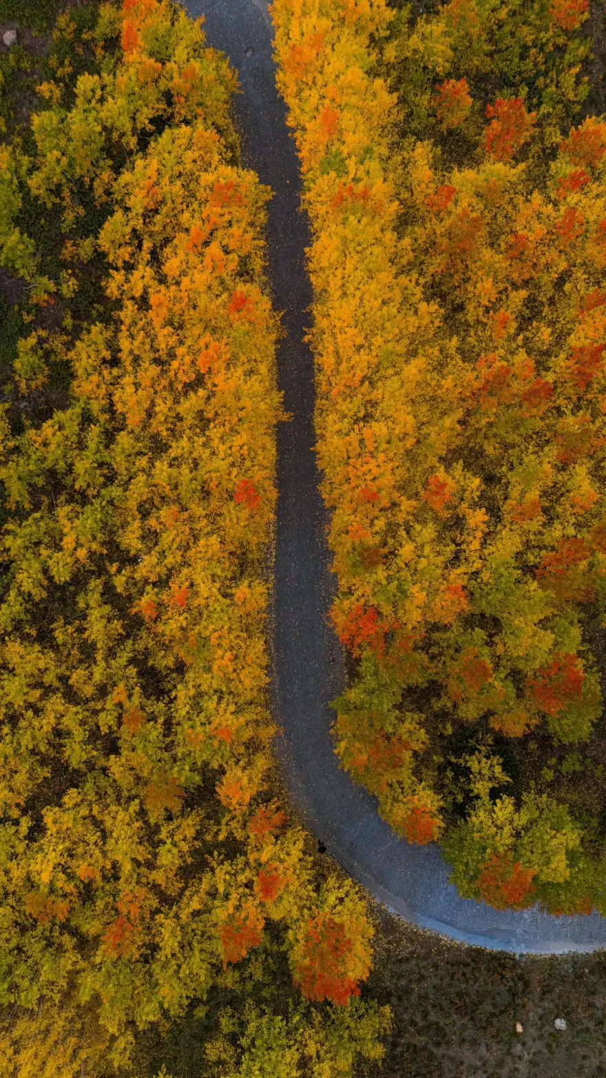 Dünyanın gözbebeği Türkiye'de! Her yıl binlerce turist akın ediyor: Muhteşem manzarası görenleri hayran bırakıyor 1 Dünyanın gözbebeği Türkiye'de! Her yıl binlerce turist akın ediyor: Muhteşem manzarası görenleri hayran bırakıyor 1