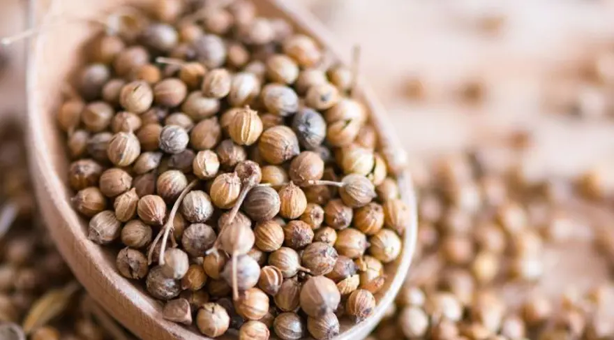 Türkiye'de Isparta ve Konya'da yetişiyor: Değerini en çok Meksikalılar biliyor! Karaciğerde toksin bırakmayan besin 5