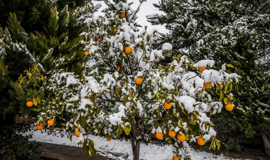 Antalya’ya 29 yıl sonra kar yağdı 40 Antalya’ya 29 yıl sonra kar yağdı 40