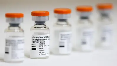 CoronaVac araştırması: Hastanede tedavi oranını yüzde 10'a düşürdü