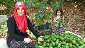 Antalya'da 5 yılda kendi işinin patronu oldu: 'Avokadocu Ayşe'