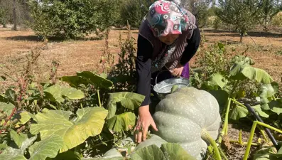 A, C ve E vitaminlerinin hepsi onda: 40 kilograma ulaştı