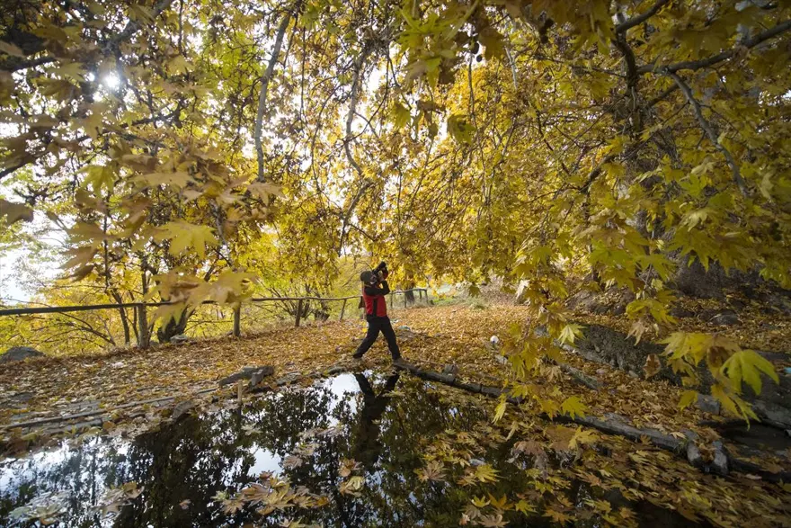 Tunceli'nin dağlarında kış, ovalarında sonbahar havası yaşanıyor 4 Tunceli'nin dağlarında kış, ovalarında sonbahar havası yaşanıyor 4