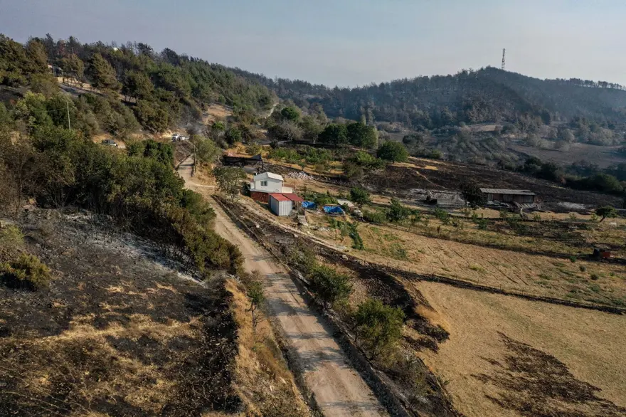 Çanakkale'de orman yangını kontrol altında 59