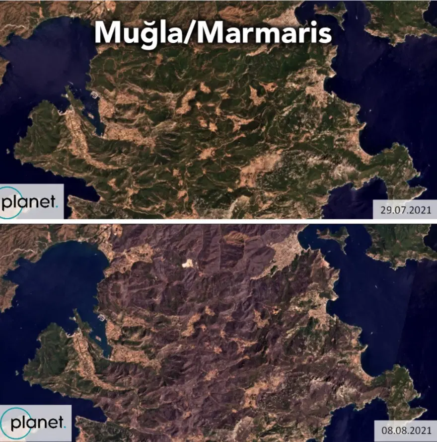 Türkiye'deki orman yangınlarının tahrip ettiği alanların uydu görüntüleri yayımlandı 