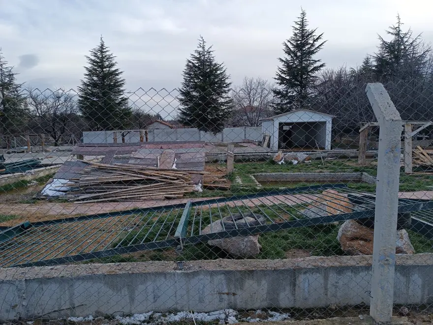 ASLANLAR ANTALYA VE İSTANBUL'A GÖNDERİLDİ 5