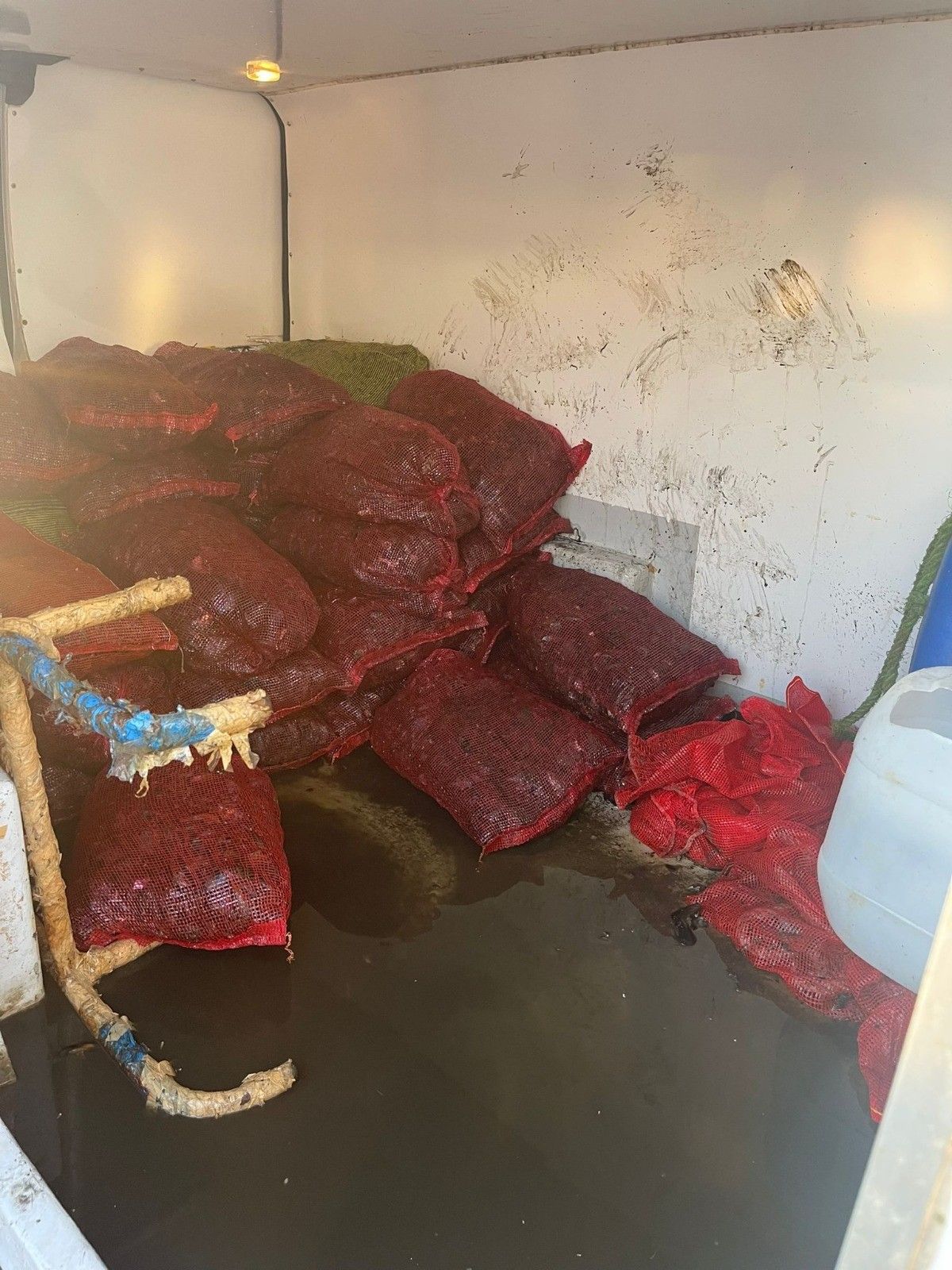 Eminönü'nde 1 tonluk kaçak midye yakalandı