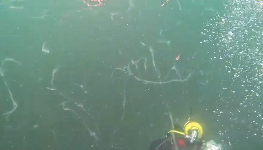 SUYUN SICAKLIĞI YÜZEYDE 22, 20 METRELERDE 16 DERECE 1