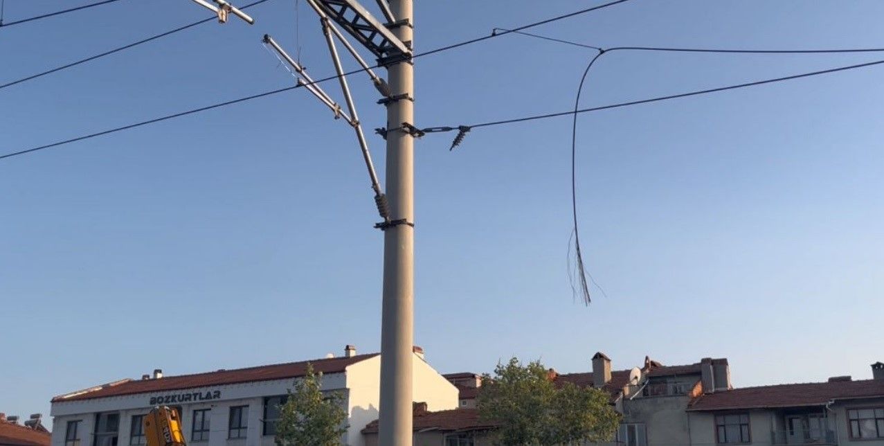 Demiryolu hattında kablolara konan kargalar yangına neden oldu