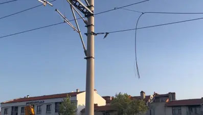 Demiryolu hattında kablolara konan kargalar yangına neden oldu