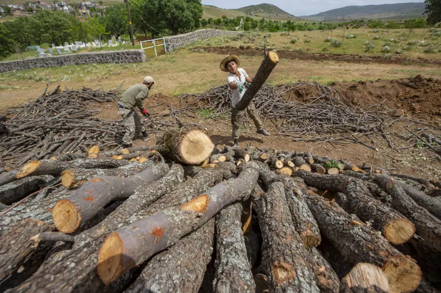 Ekmeklerini mangal kömüründen çıkarıyorlar 15