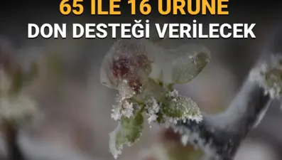 Tarım Bakanlığından açıklama: Zirai don desteği ne zaman, kimlere yatacak?