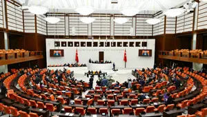 Sahipsiz hayvanlara yönelik düzenlemede son durum: Sokak köpekleri yasası ne zaman çıkacak?