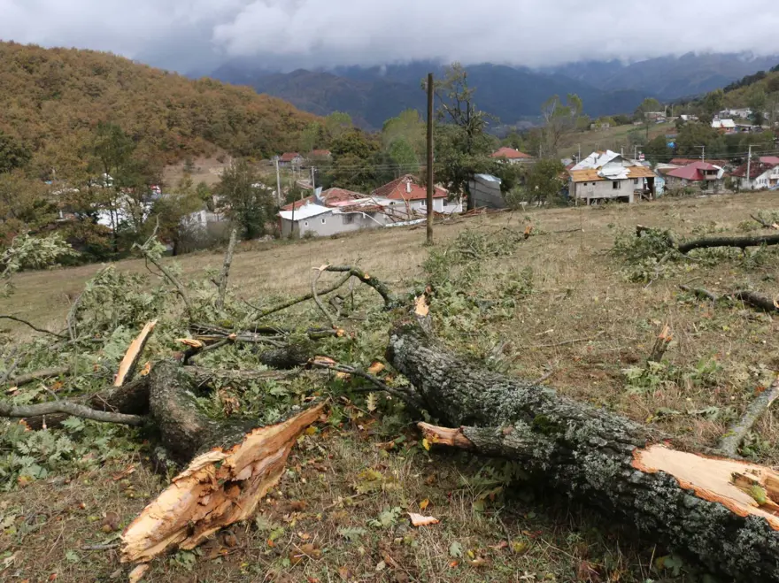 Bolu'da hortum: Ağaçlar devrildi, çatılar uçtu 5