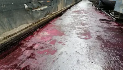 Kocaeli'de Kilez Deresi'ni atık su ile kırmızıya boyayan firmaya ceza