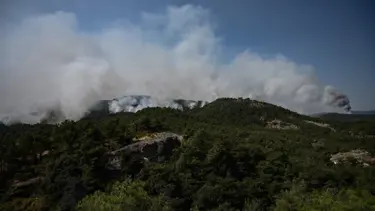 Yunanistan'ın Meriç Bölgesi'nde yanan ormanlık alanda ceset bulundu