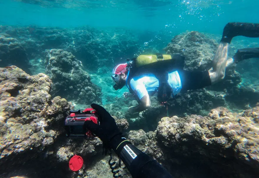 Fotoğraf tutkunu dalgıçlar, Mersin kıyılarındaki su altı kanyonlarını görüntülüyor 