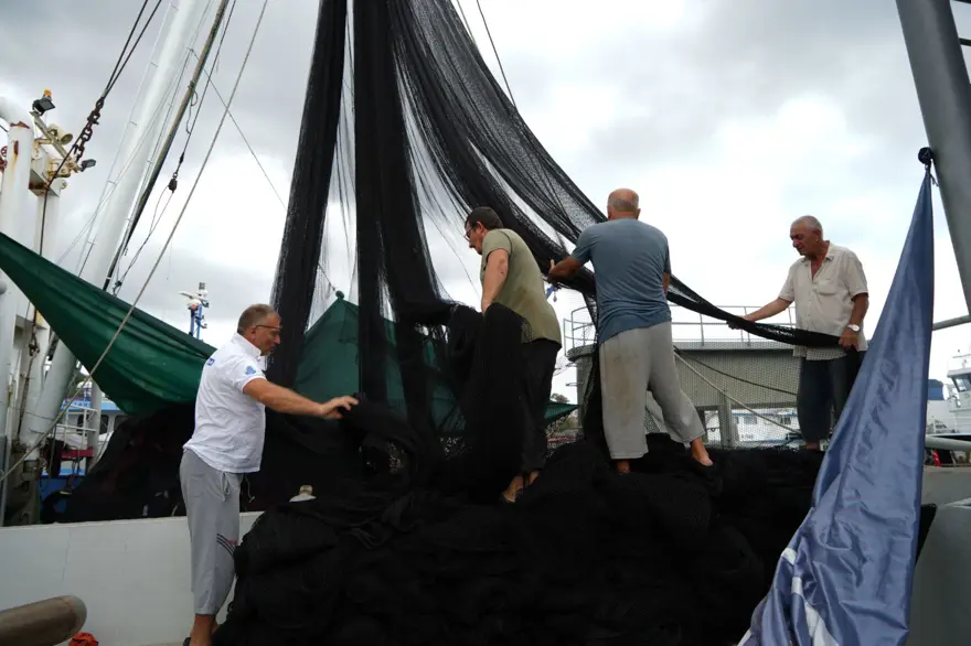 Hazırlıklar yapıldı, 1 Eylül'de başlayacak: Bu yıl herkes balığa doyacak 
