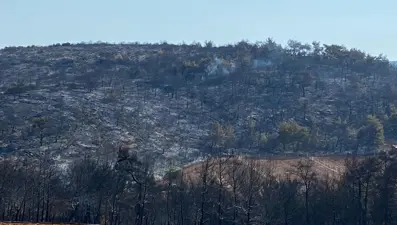Manisa'daki orman yangını 13,5 saat sonra kontrol altında