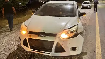 Malatya'da otomobil domuza çarptı