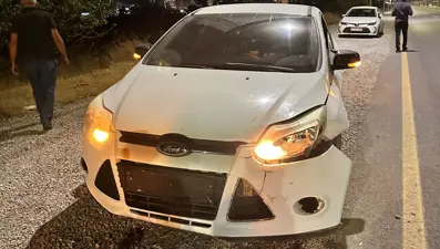 Malatya'da otomobil domuza çarptı