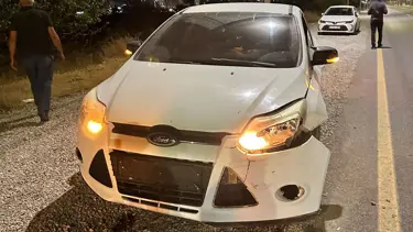 Malatya'da otomobil domuza çarptı