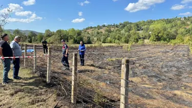 Yaktığı anız ateşeni söndürmeye çalışırkan öldü
