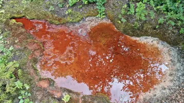 1800 rakımda, doğa tutkunlarının rotası: Kızıl renkteki suyu ilgi görüyor