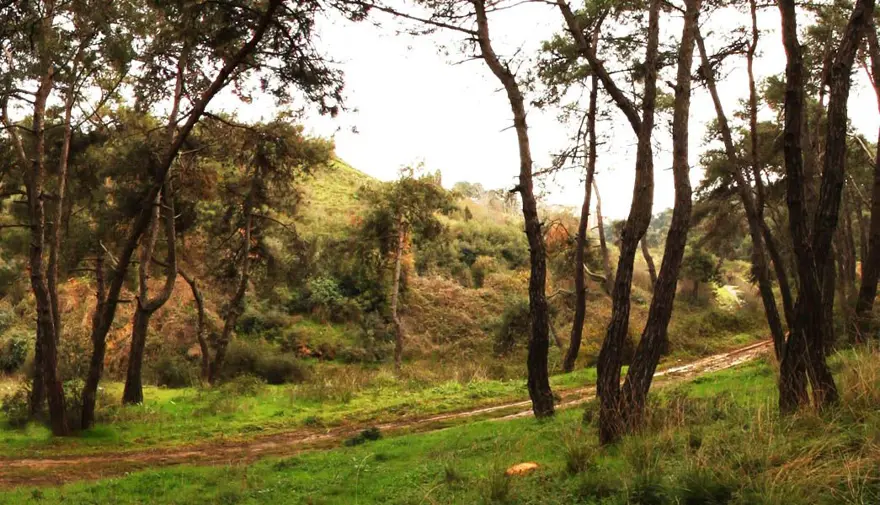 istanbul'un tabiat parkları, istanbul'daki tabiat parkları, istanbul mesire alanları, istanbul'de ailece nereye gidilir, istanbul ormanları 14