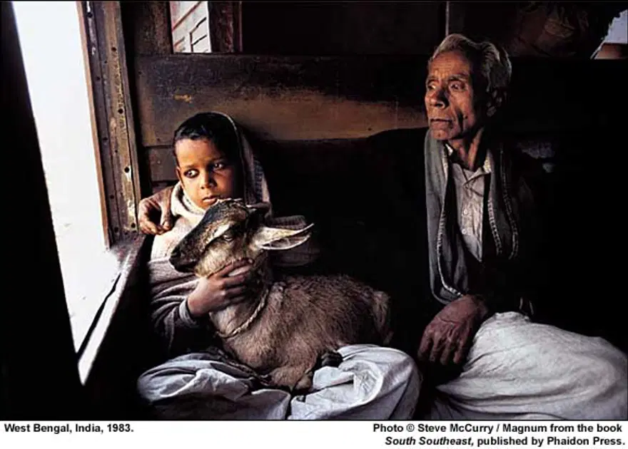 Afgan Kızı ve diğer fotoğrafları 99 Afgan Kızı ve diğer fotoğrafları 99