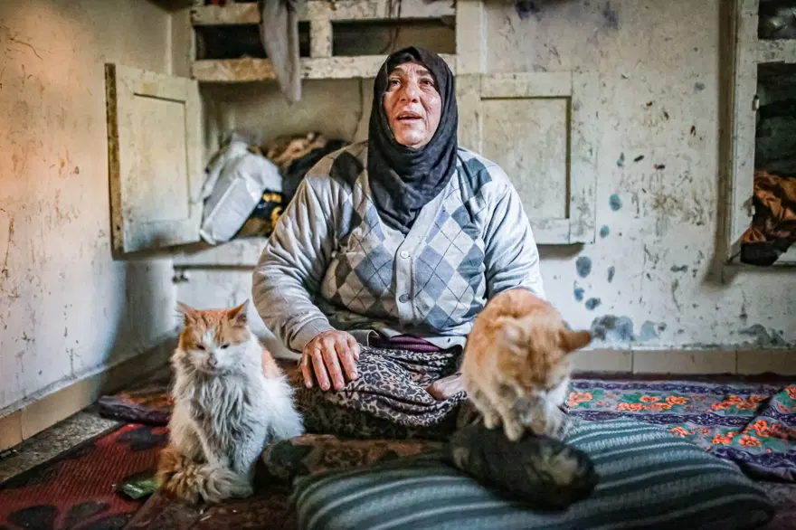 İdlib'de savaş mağduru kadın kedilerinden vazgeçmiyor 17 İdlib'de savaş mağduru kadın kedilerinden vazgeçmiyor 17