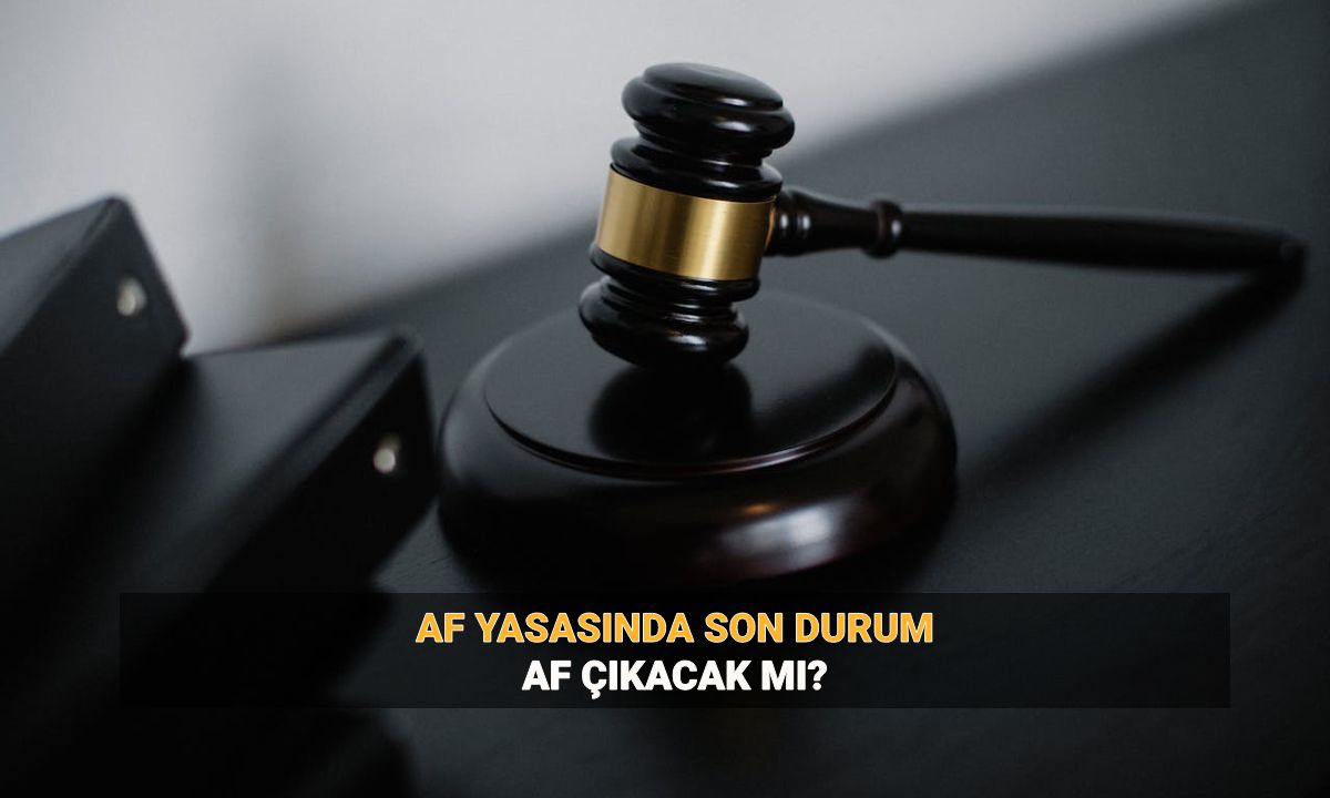 Af gelecek mi? 2025 Genel af ya da umut hakkı olacak mı? İnfaz düzenlemesinde son durum