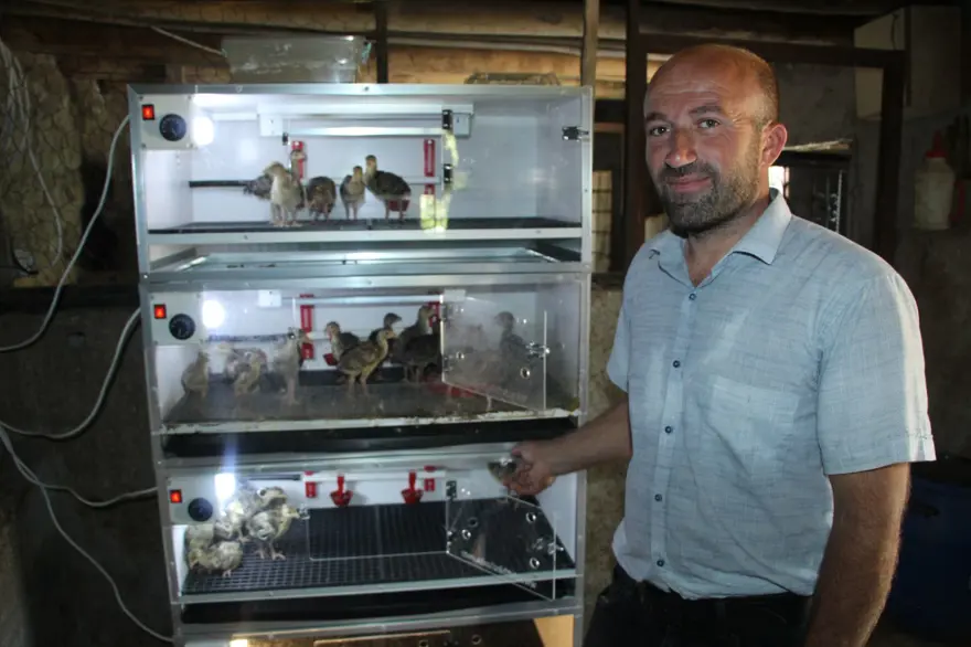 Çiftliği evine taşıdı, 8 kişilik ailesine bakıyor: Haftada 25-30 civciv üretiyor 2 Çiftliği evine taşıdı, 8 kişilik ailesine bakıyor: Haftada 25-30 civciv üretiyor 2