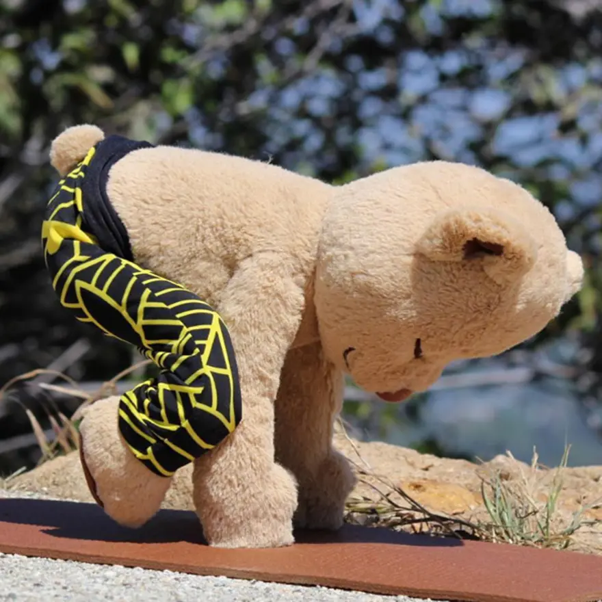 İnternetin yeni fenomeni Yogi Ayı Meddy Teddy 24