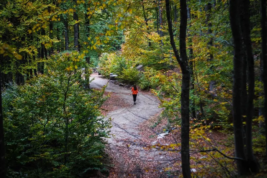 Doğa ve fotoğraf tutkunları, sonbahar renklerine bürünen Domaniç'te buluştu 10