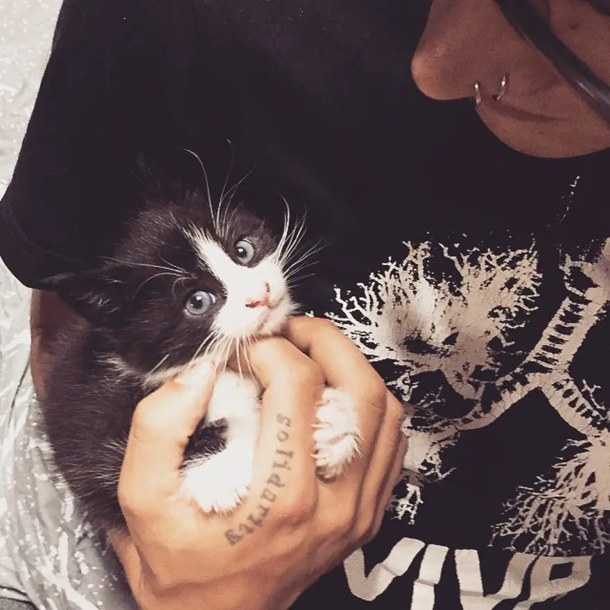 Hayatını kedileri kurtarmaya adadı 159